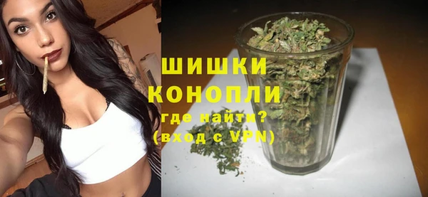 молекула духа Ладушкин