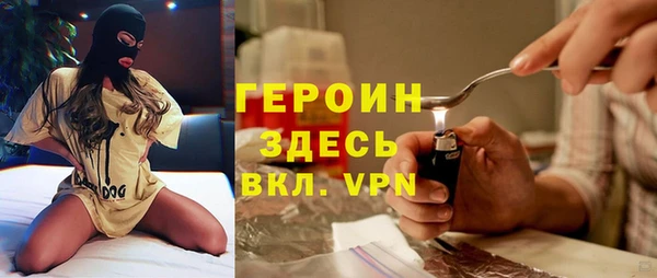 молекула духа Ладушкин