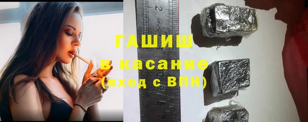 молекула духа Ладушкин