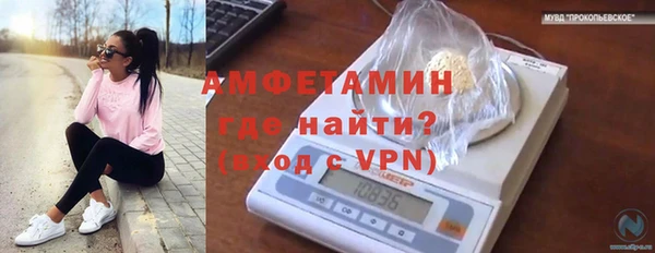 молекула духа Ладушкин