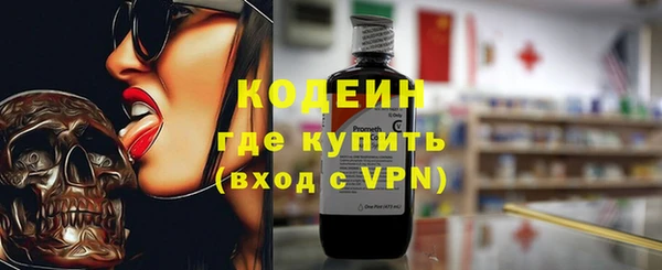 молекула духа Ладушкин