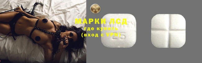 молекула духа Ладушкин
