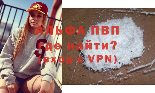 молекула духа Ладушкин