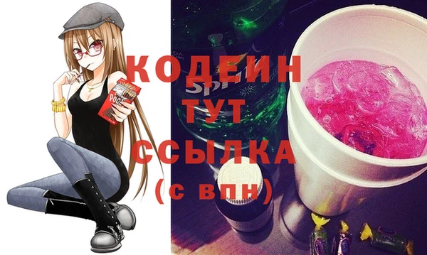 молекула духа Ладушкин