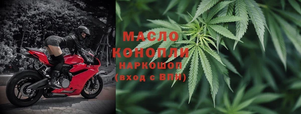 молекула духа Ладушкин