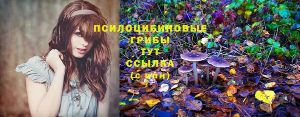 бошки Лабытнанги
